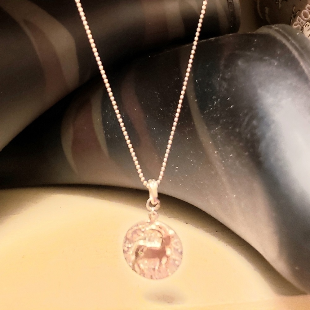 Capricorn .925 SS two tone Necklace